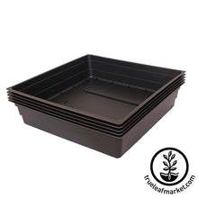 Load image into Gallery viewer, FALSE