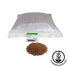 Load image into Gallery viewer, Wheat - Hard Red Spring (organic) - Sprouting Seeds