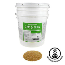 Load image into Gallery viewer, Millet - Whole (organic) - Sprouting Seeds