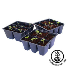 Load image into Gallery viewer, Tray Insert - 48 Cell - 8x6 Nested