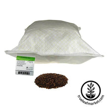 Load image into Gallery viewer, Barley - Purple (organic) - Sprouting Seeds