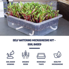 Load image into Gallery viewer, Self Watering Microgreens Kit