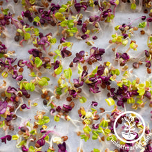 Load image into Gallery viewer, Premium Bamboo Microgreens Grow Mats