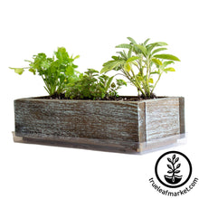 Load image into Gallery viewer, Barnwood Planter Organic Culinary Herb Garden Kit