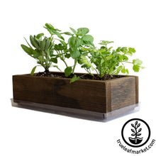 Load image into Gallery viewer, Barnwood Planter Organic Culinary Herb Garden Kit