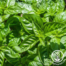 Load image into Gallery viewer, Easy & Delicious Bilingual Herb Seed Collection