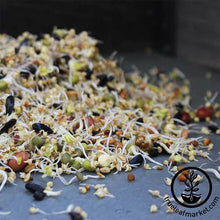 Load image into Gallery viewer, FALSE