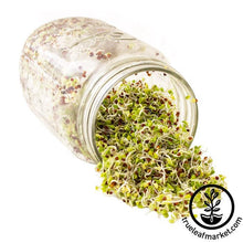 Load image into Gallery viewer, Broccoli Sprouting Kit