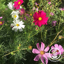 Load image into Gallery viewer, Fast & Easy Bilingual Flower Seed Collection