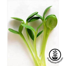 Load image into Gallery viewer, Deluxe Microgreens Starter Kit