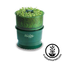 Load image into Gallery viewer, FALSE