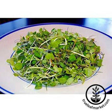 Load image into Gallery viewer, Hydroponic Microgreens Starter Kit