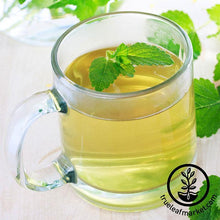 Load image into Gallery viewer, Medicinal Herb Seed Assortment