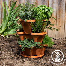 Load image into Gallery viewer, Garden Stacker Planter & Tea, Medicinal Herb Kit