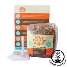 Load image into Gallery viewer, FALSE