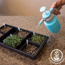 Load image into Gallery viewer, Microgreens Pressure Sprayer