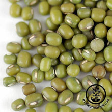 Load image into Gallery viewer, Mung Bean (organic) - Sprouting Seeds