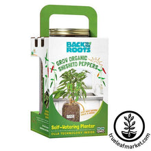 Load image into Gallery viewer, BTTR - Self-Watering Planter Jar Garden