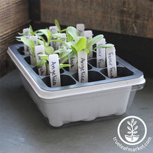 Load image into Gallery viewer, FALSE