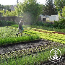 Load image into Gallery viewer, Spin Farming 2.0 - Production Planning