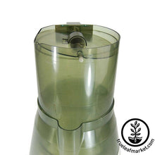 Load image into Gallery viewer, FALSE