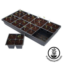 Load image into Gallery viewer, Tray Insert - 32 Cell - 8x4 Nested
