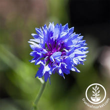 Load image into Gallery viewer, Fast &amp; Easy Bilingual Flower Seed Collection
