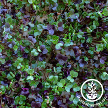 Load image into Gallery viewer, Premium Bamboo Microgreens Grow Mats
