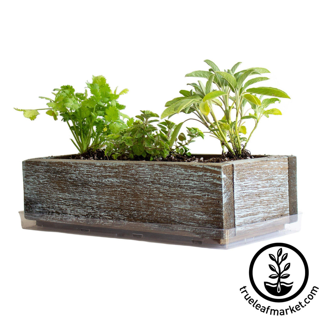 Barnwood Planter Organic Culinary Herb Garden Kit