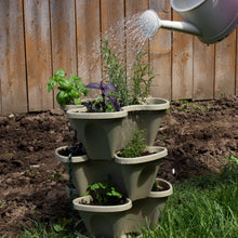 Load image into Gallery viewer, Garden Stacker Planter &amp; Culinary Herb Kit
