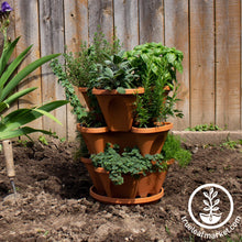 Load image into Gallery viewer, Garden Stacker Planter &amp; Culinary Herb Kit
