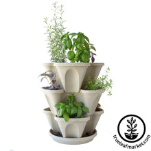 Load image into Gallery viewer, Garden Stacker Planter &amp; Tea, Medicinal Herb Kit
