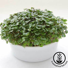 Load image into Gallery viewer, Mini Microgreens Growing Kits - Wholesale
