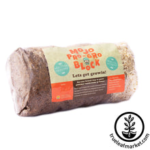 Load image into Gallery viewer, Mojo Pro White Oyster Mushroom Block Kit
