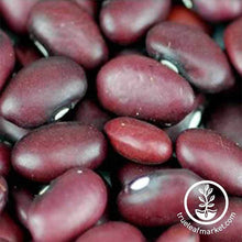 Load image into Gallery viewer, Red Small Chili Beans (organic) - Bulk Grains &amp; Foods
