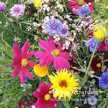 Load image into Gallery viewer, Renees Garden - Pollinator Flower Seed Collection
