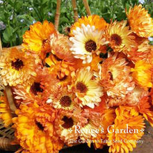 Load image into Gallery viewer, Renees Garden - Pollinator Flower Seed Collection
