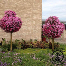 Load image into Gallery viewer, Tree Stand
