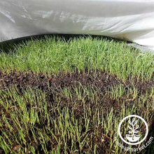 Load image into Gallery viewer, Weather Shield by Safegrow
